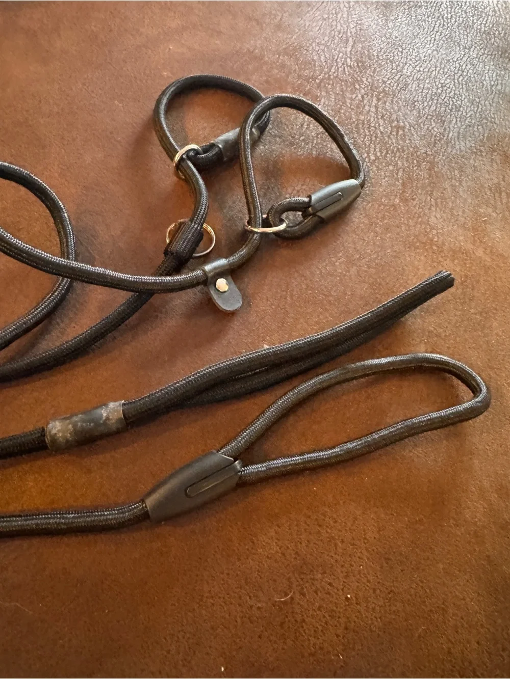 Set of 4 Assorted Dog Leashes